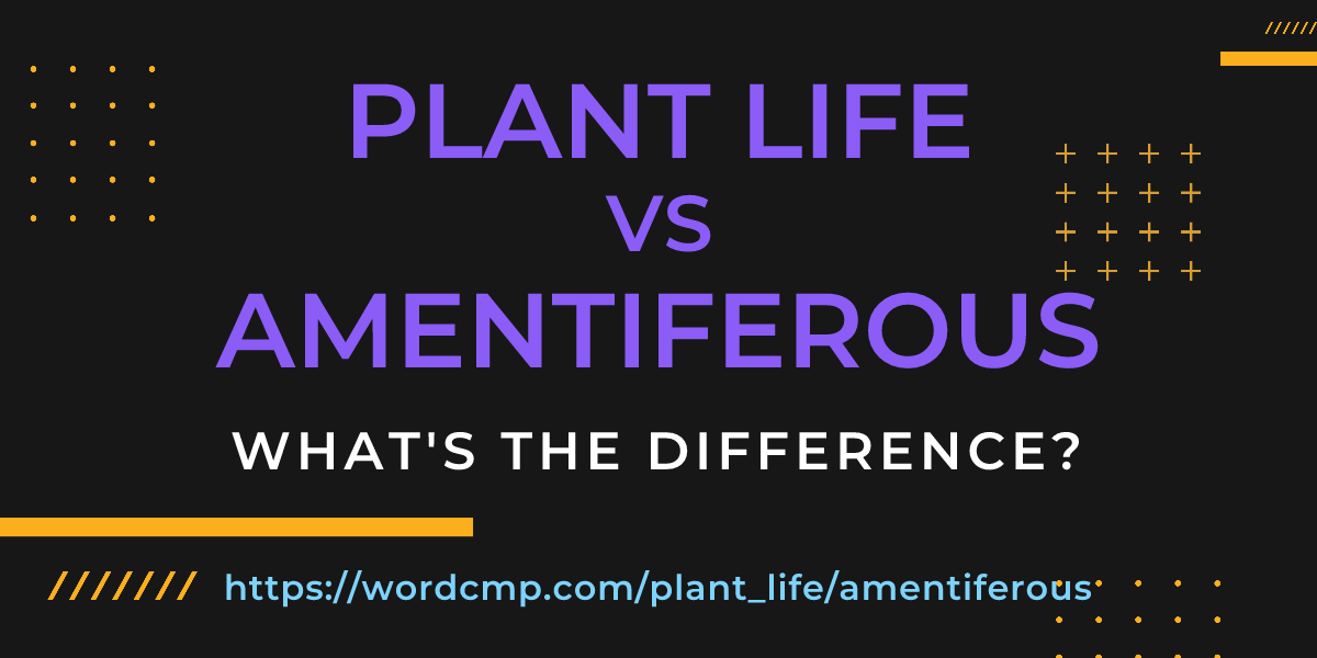 Difference between plant life and amentiferous