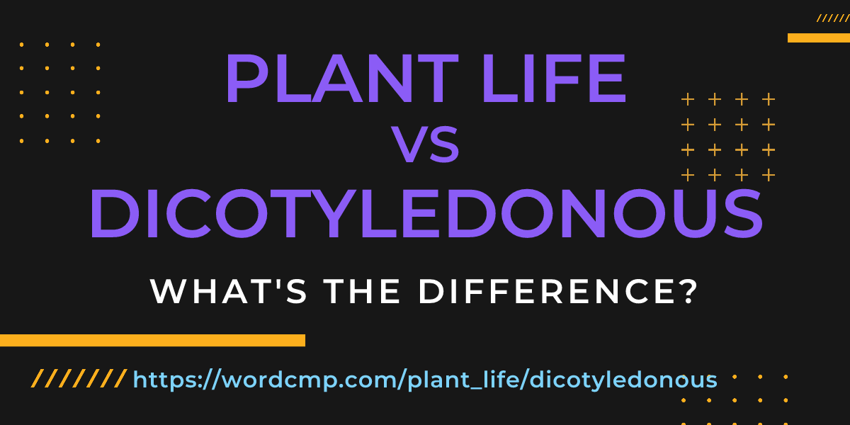 Difference between plant life and dicotyledonous