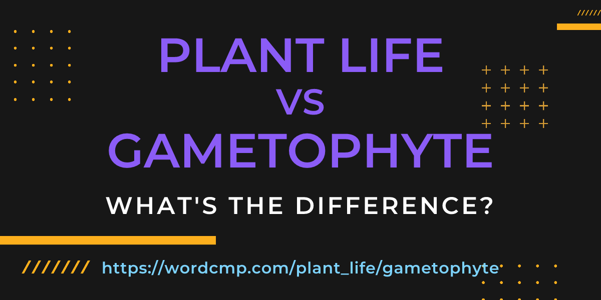 Difference between plant life and gametophyte