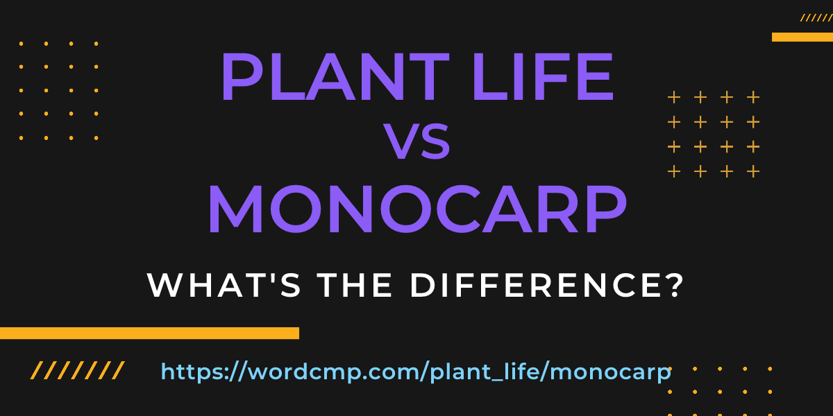 Difference between plant life and monocarp