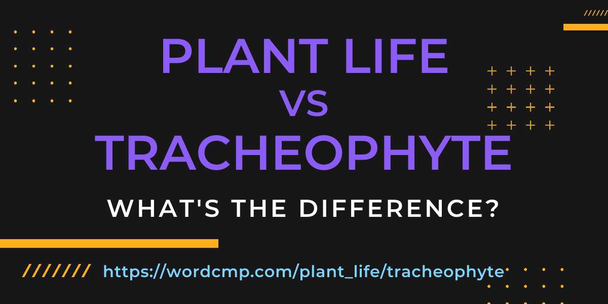 Difference between plant life and tracheophyte