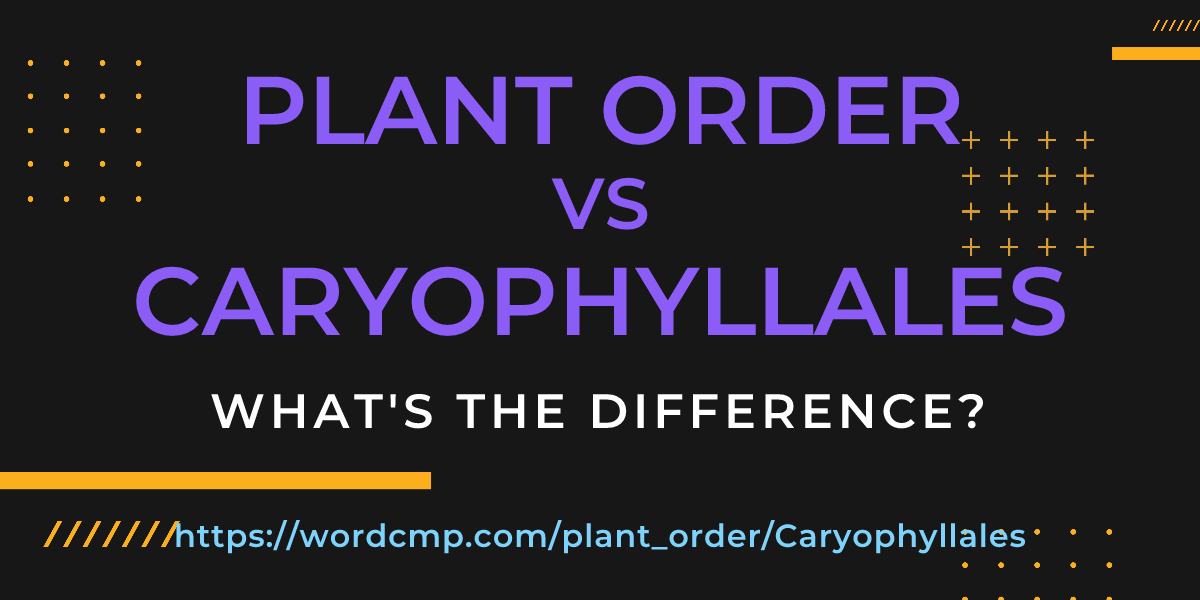 Difference between plant order and Caryophyllales