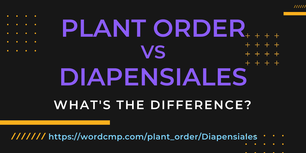 Difference between plant order and Diapensiales