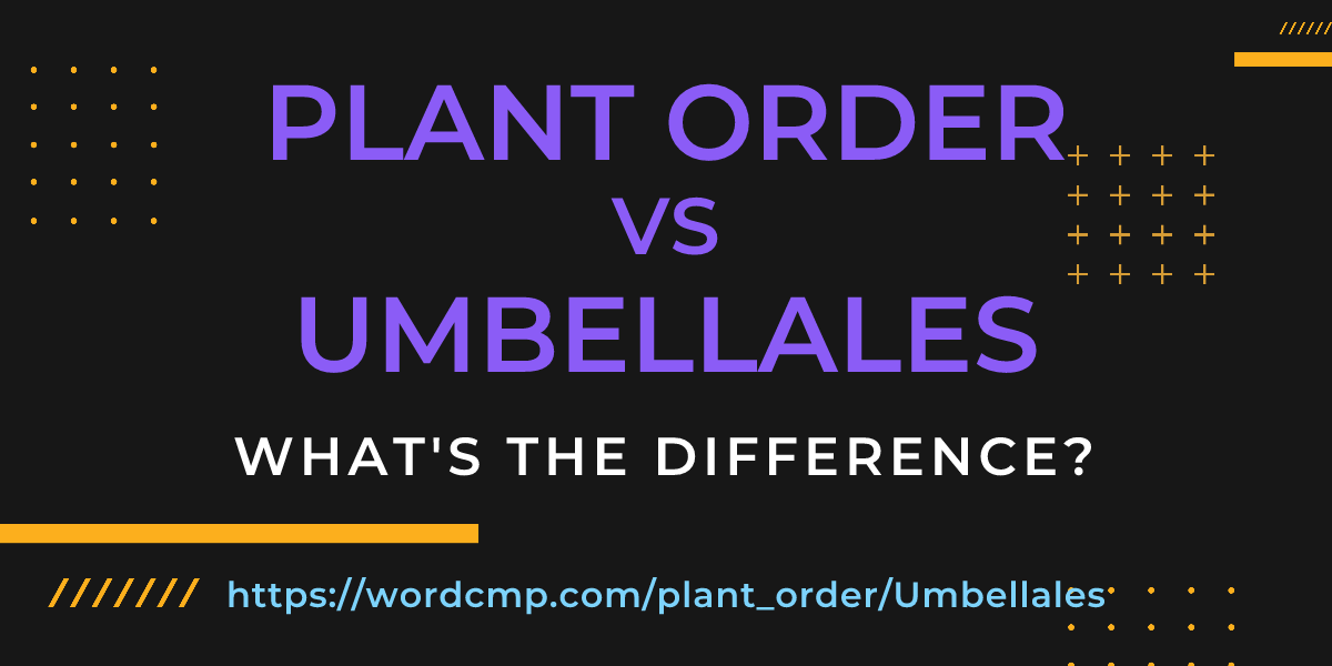 Difference between plant order and Umbellales