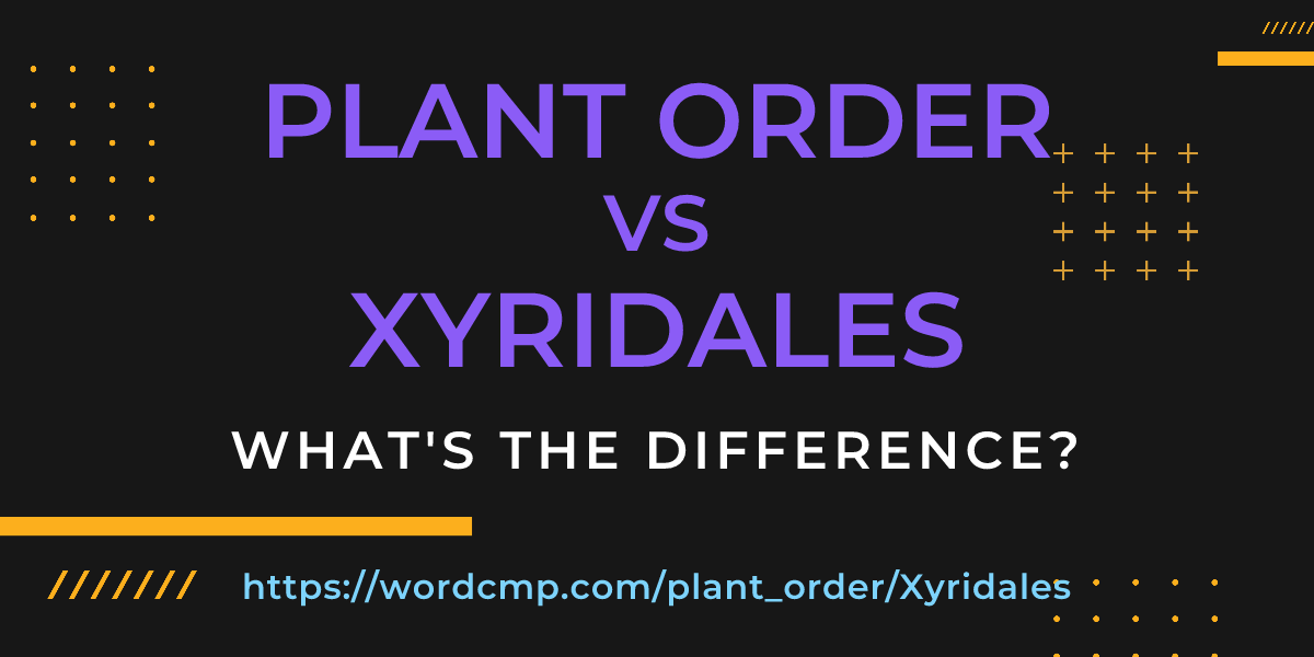 Difference between plant order and Xyridales
