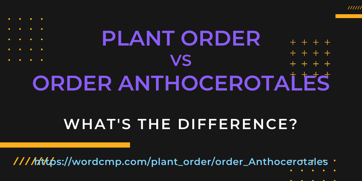Difference between plant order and order Anthocerotales