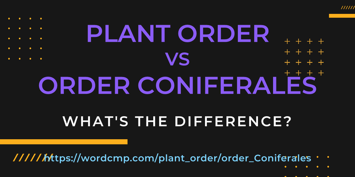 Difference between plant order and order Coniferales