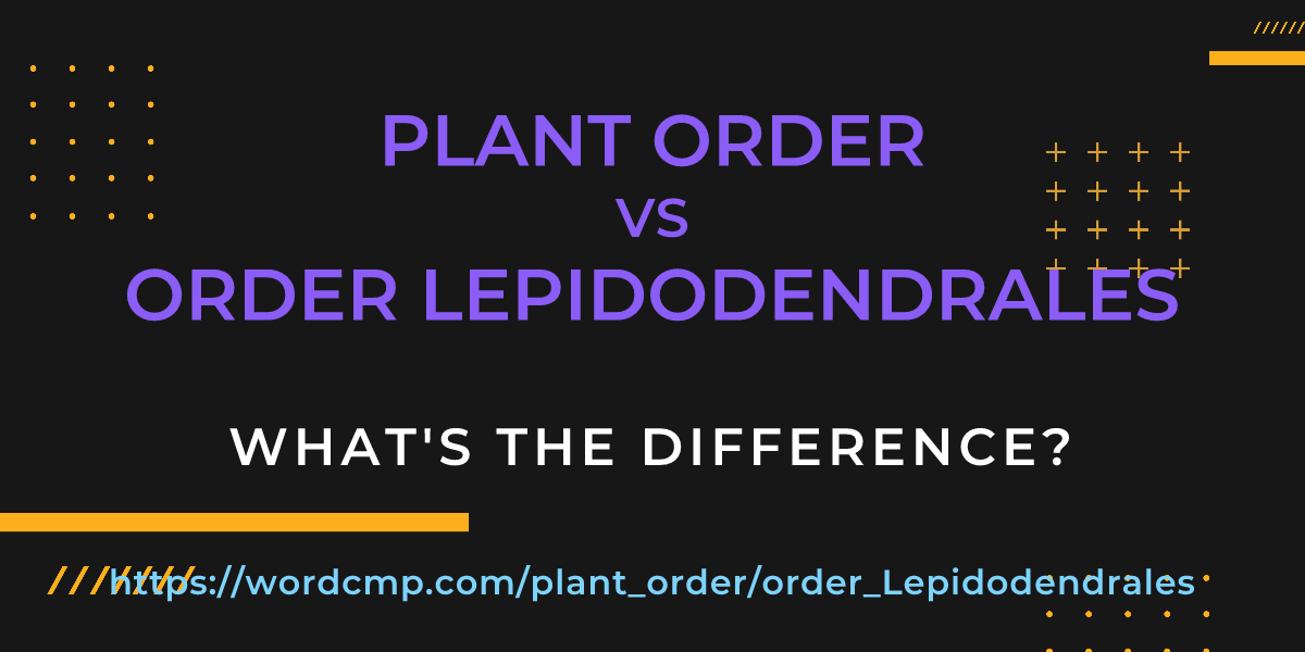 Difference between plant order and order Lepidodendrales