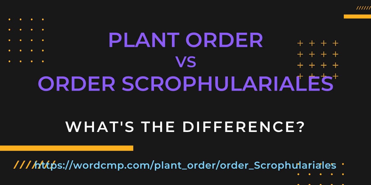 Difference between plant order and order Scrophulariales