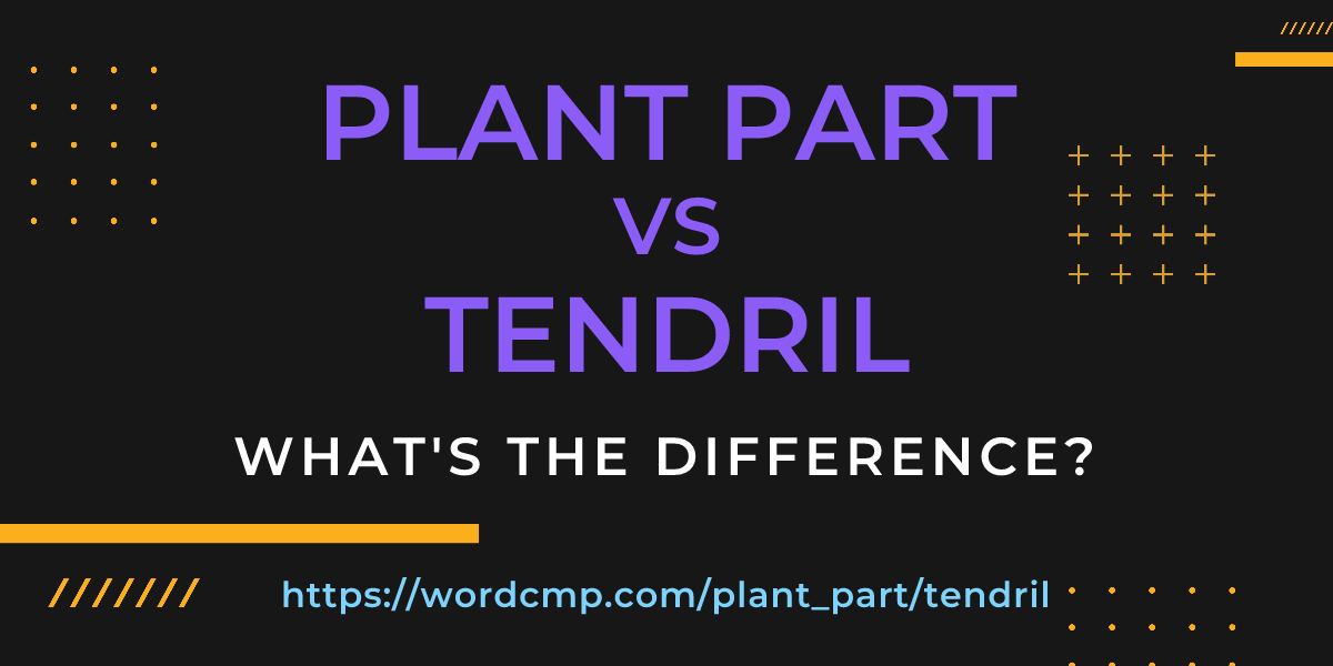 Difference between plant part and tendril