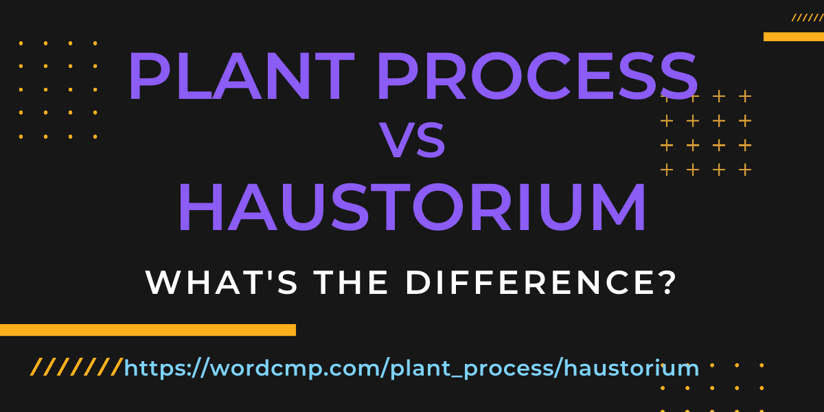 Difference between plant process and haustorium