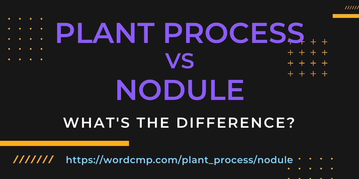 Difference between plant process and nodule