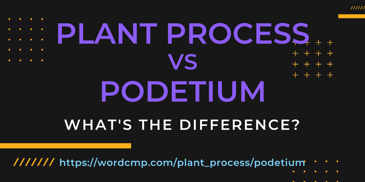 Difference between plant process and podetium