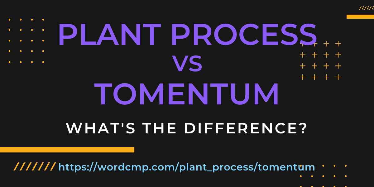 Difference between plant process and tomentum