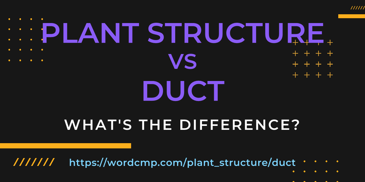 Difference between plant structure and duct