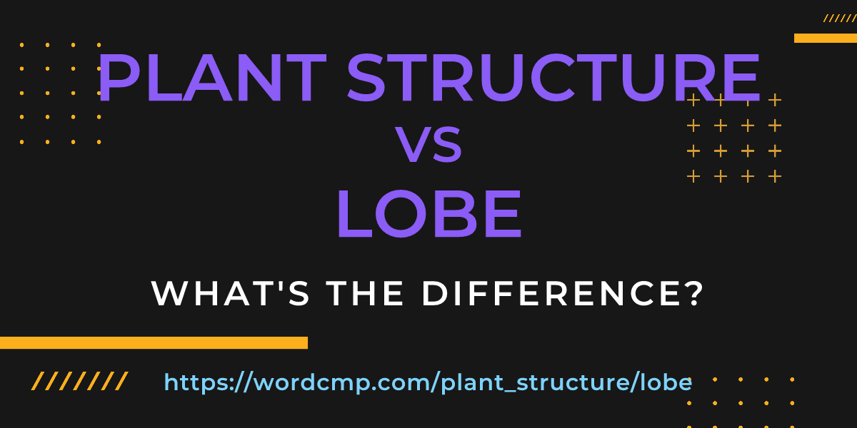 Difference between plant structure and lobe