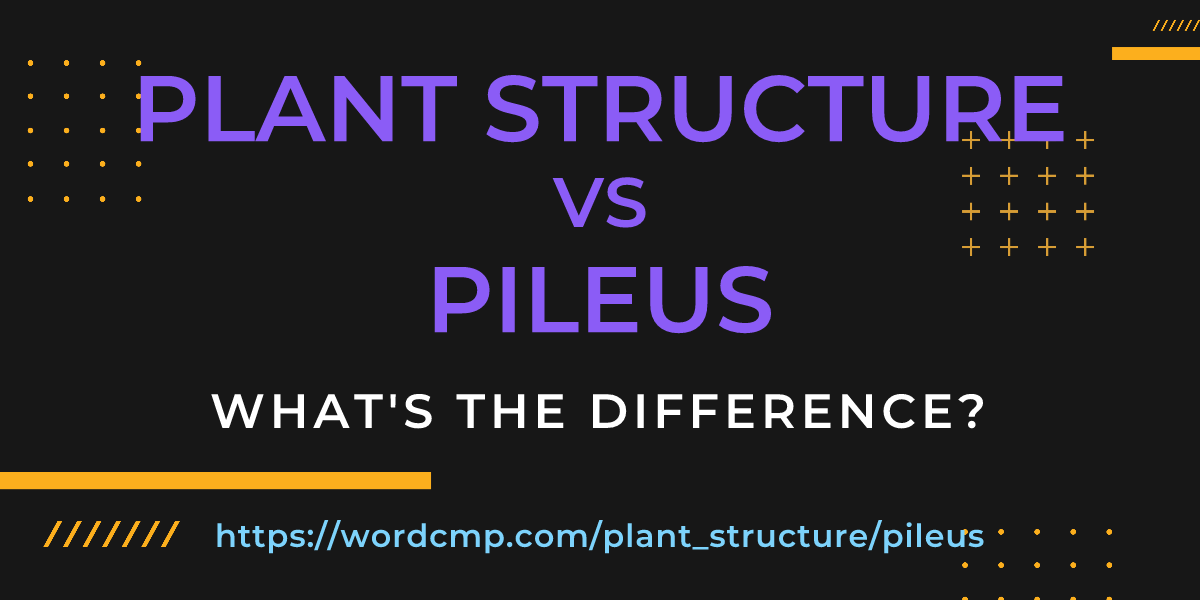 Difference between plant structure and pileus