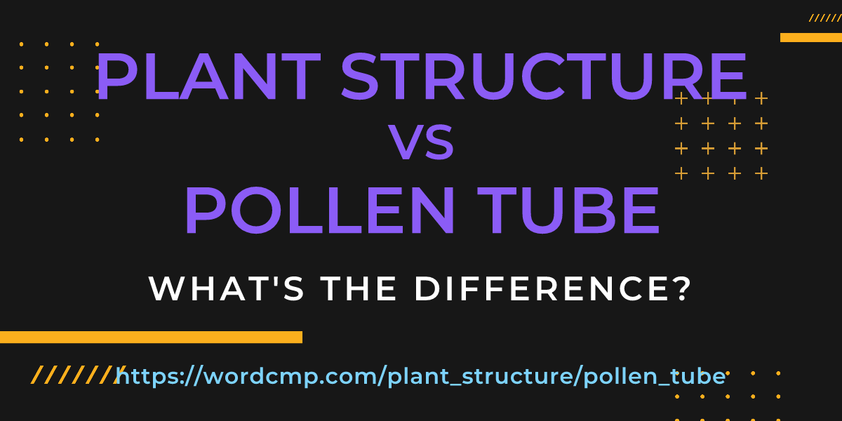 Difference between plant structure and pollen tube
