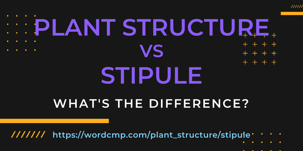 Difference between plant structure and stipule