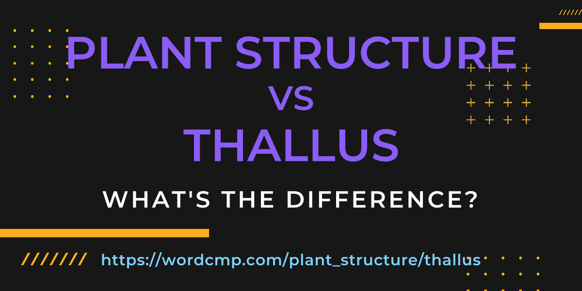 Difference between plant structure and thallus
