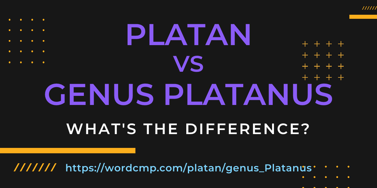 Difference between platan and genus Platanus