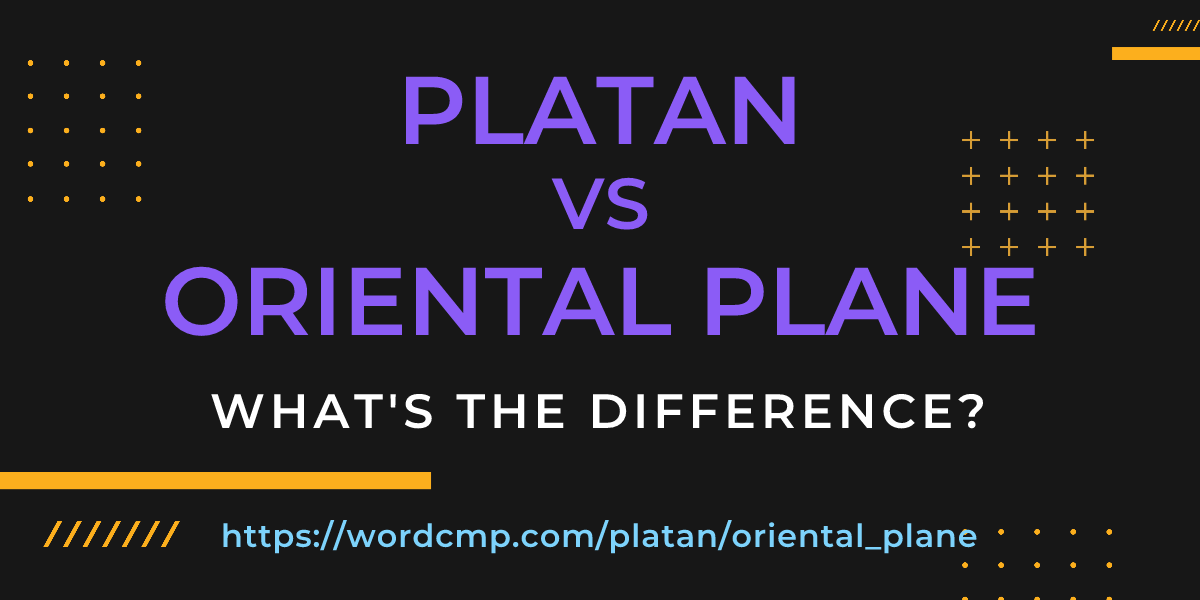 Difference between platan and oriental plane
