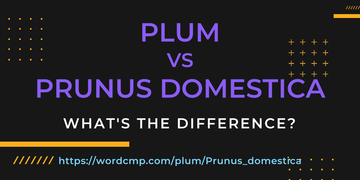 Difference between plum and Prunus domestica