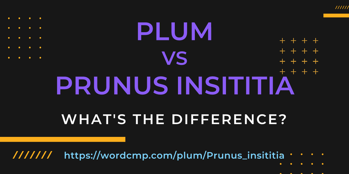 Difference between plum and Prunus insititia
