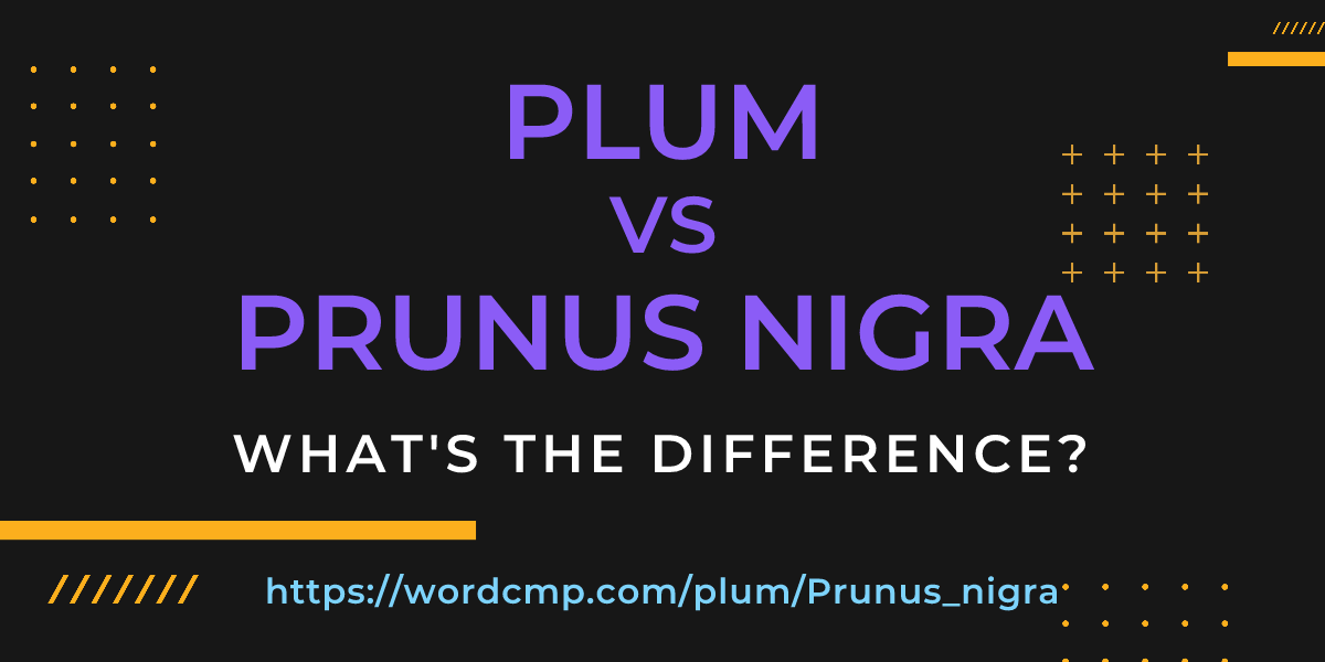 Difference between plum and Prunus nigra