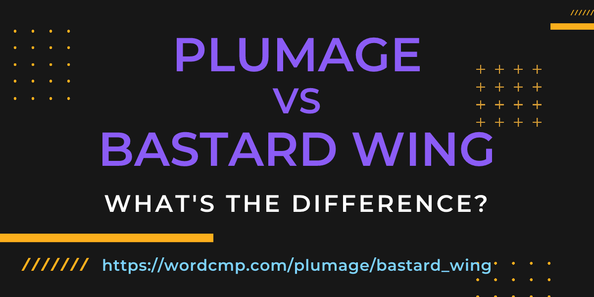Difference between plumage and bastard wing