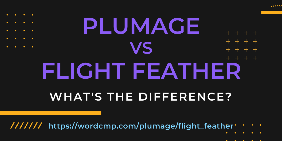 Difference between plumage and flight feather