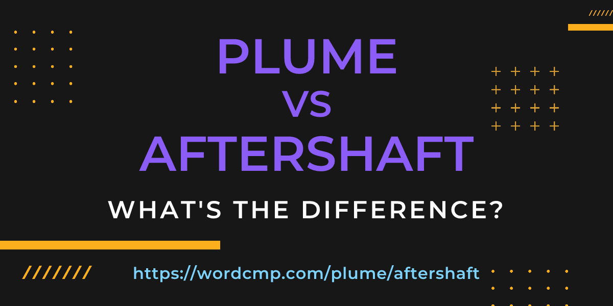Difference between plume and aftershaft