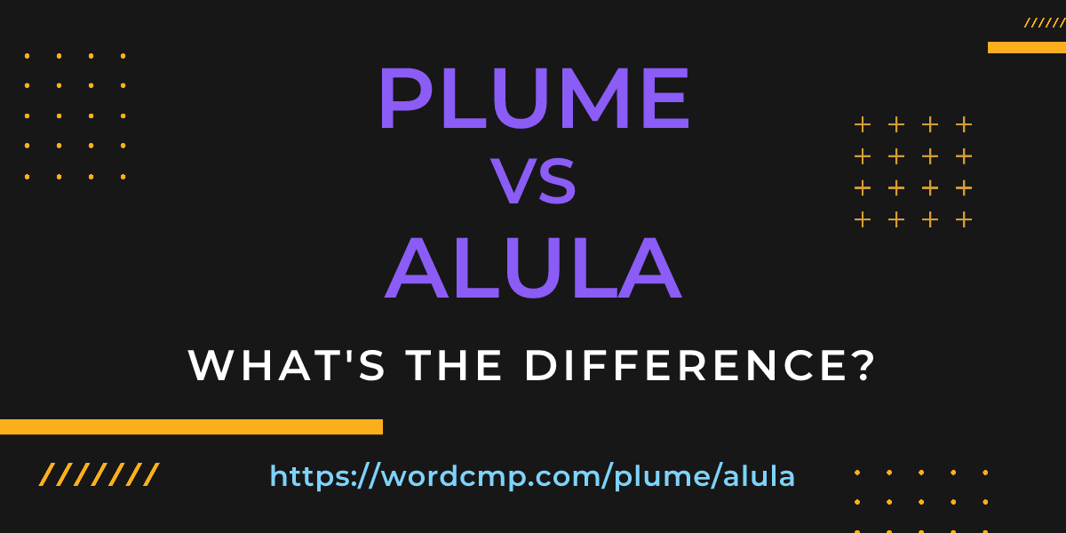 Difference between plume and alula