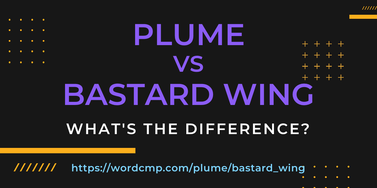 Difference between plume and bastard wing