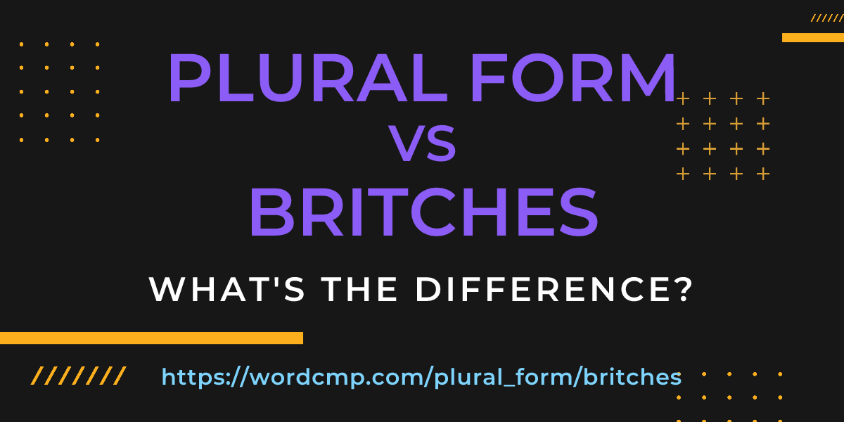 Difference between plural form and britches