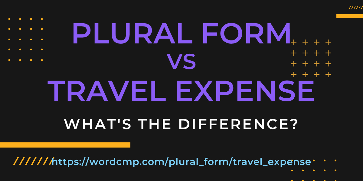 Difference between plural form and travel expense