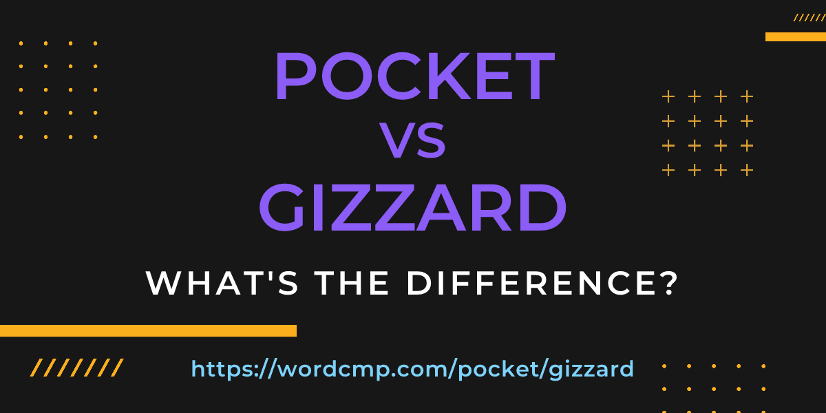 Difference between pocket and gizzard