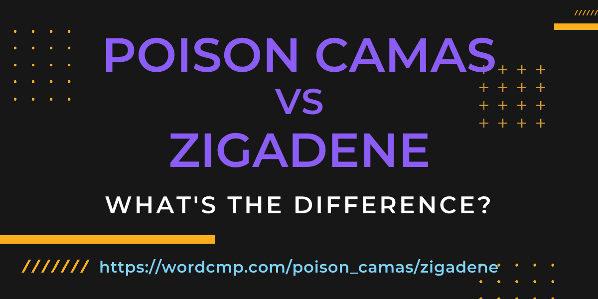 Difference between poison camas and zigadene