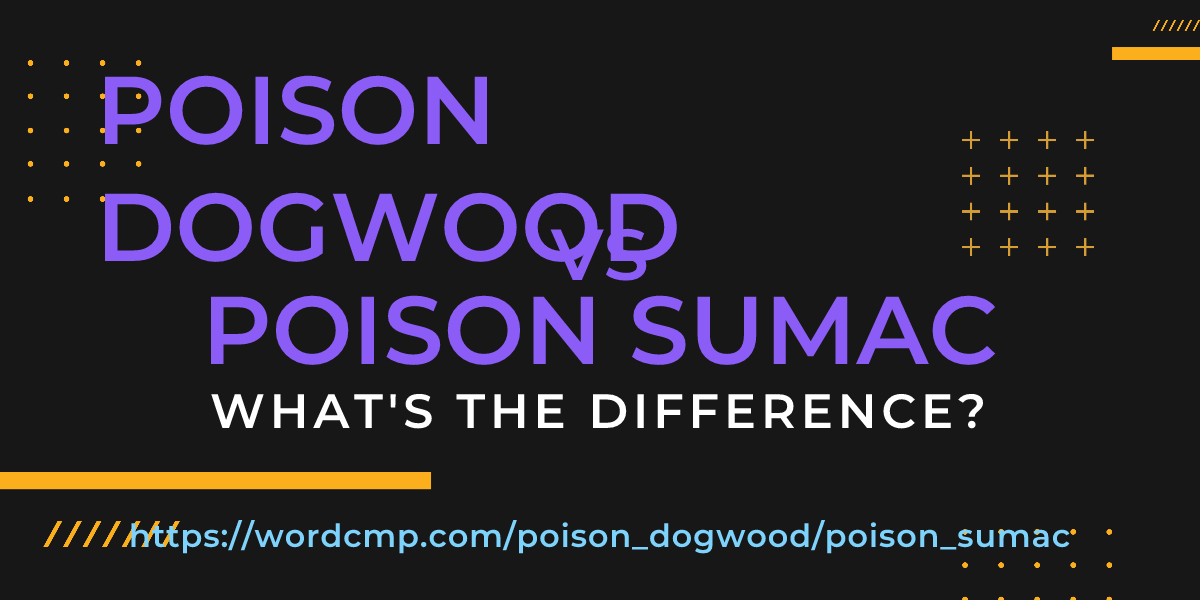 Difference between poison dogwood and poison sumac