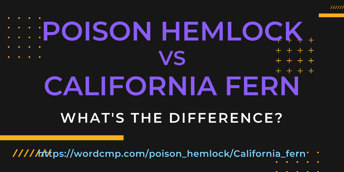 Difference between poison hemlock and California fern