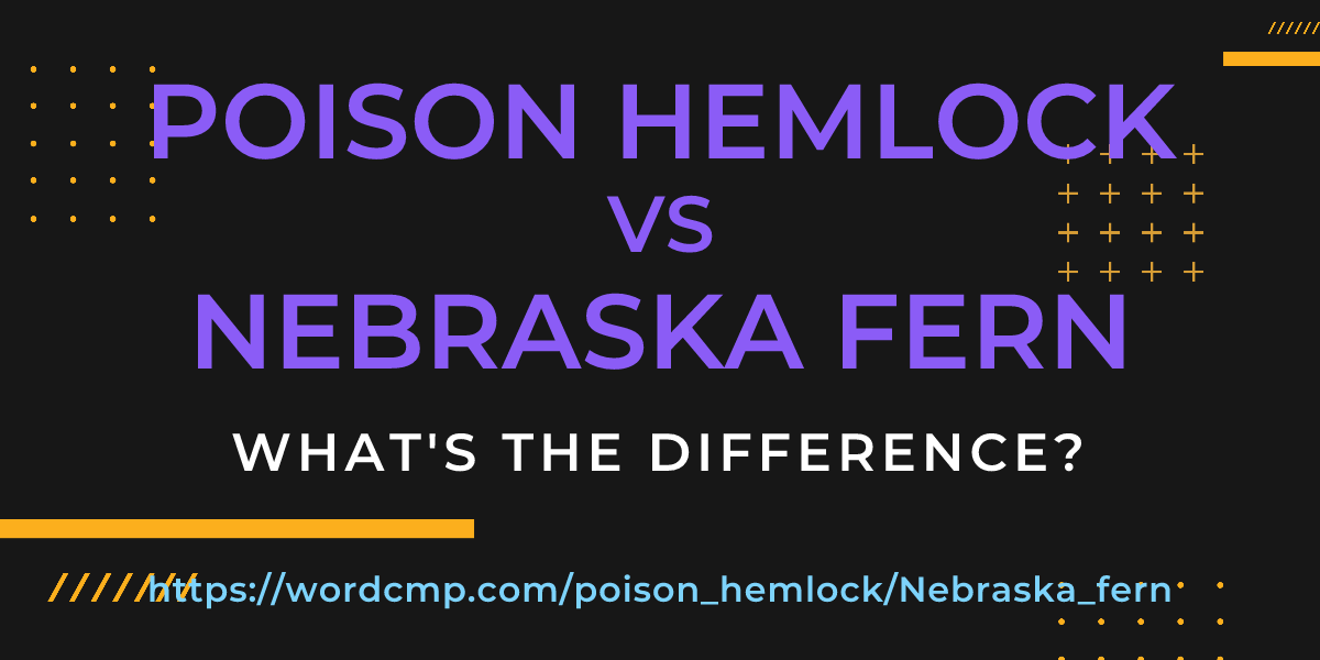 Difference between poison hemlock and Nebraska fern