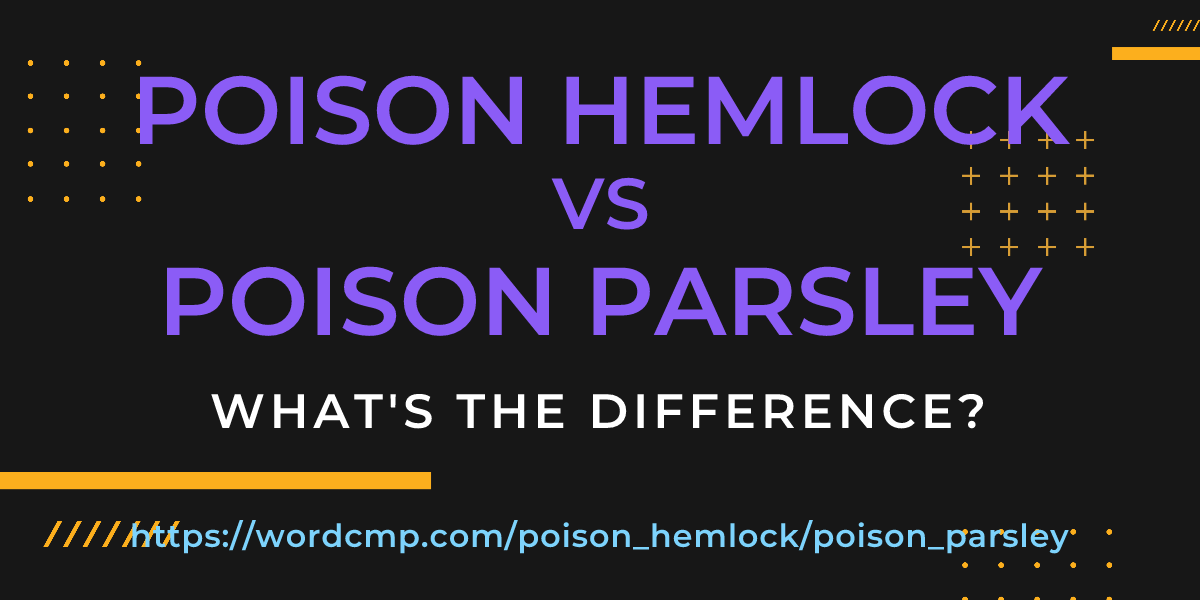 Difference between poison hemlock and poison parsley