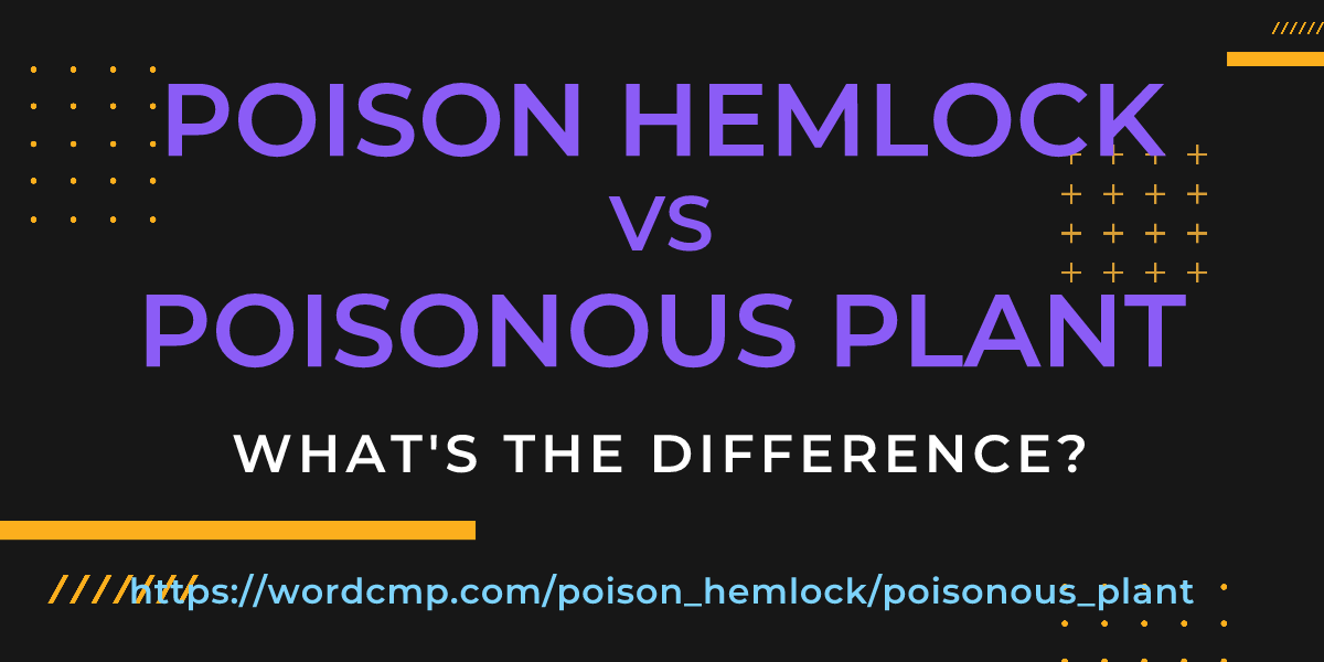 Difference between poison hemlock and poisonous plant