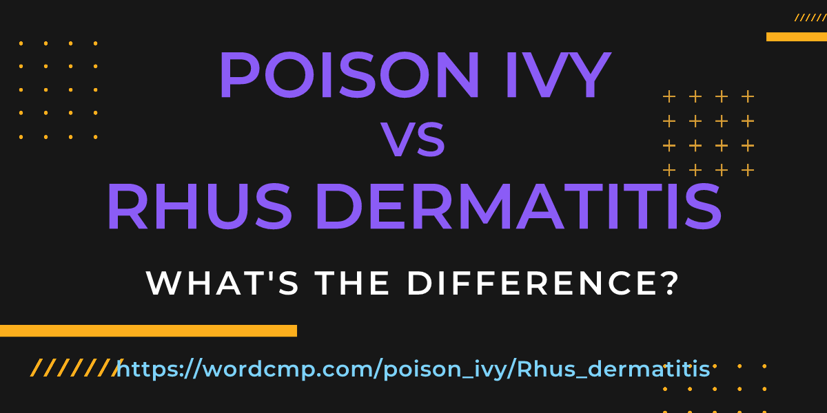 Difference between poison ivy and Rhus dermatitis