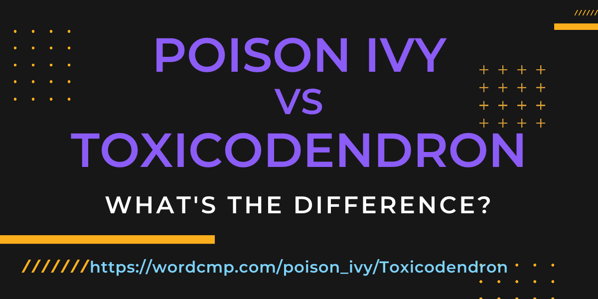 Difference between poison ivy and Toxicodendron
