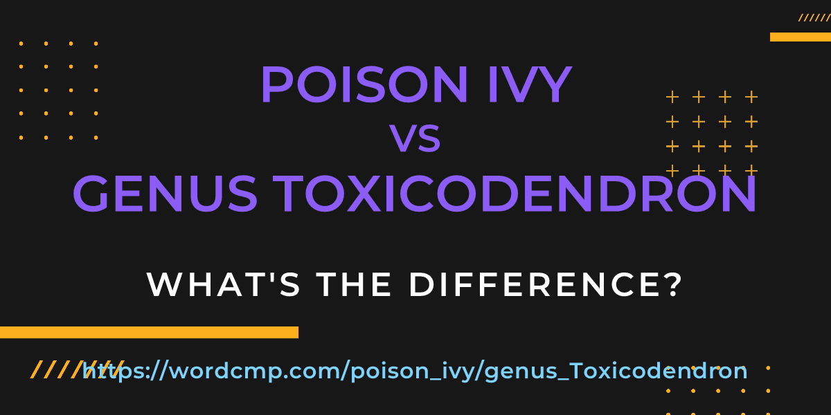 Difference between poison ivy and genus Toxicodendron