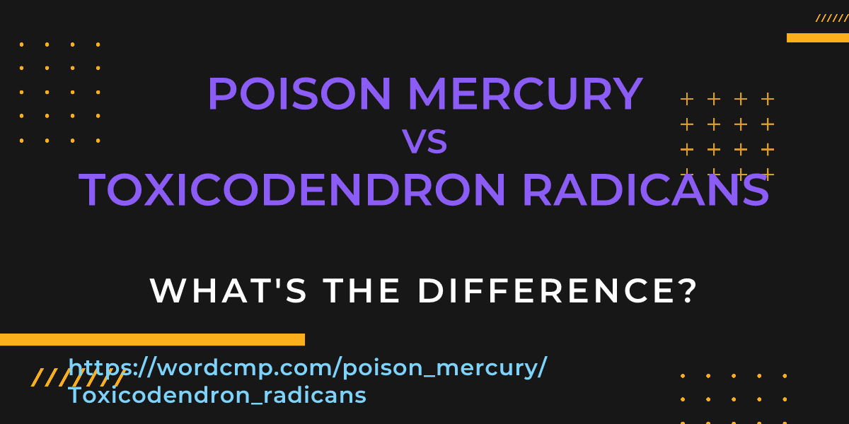 Difference between poison mercury and Toxicodendron radicans