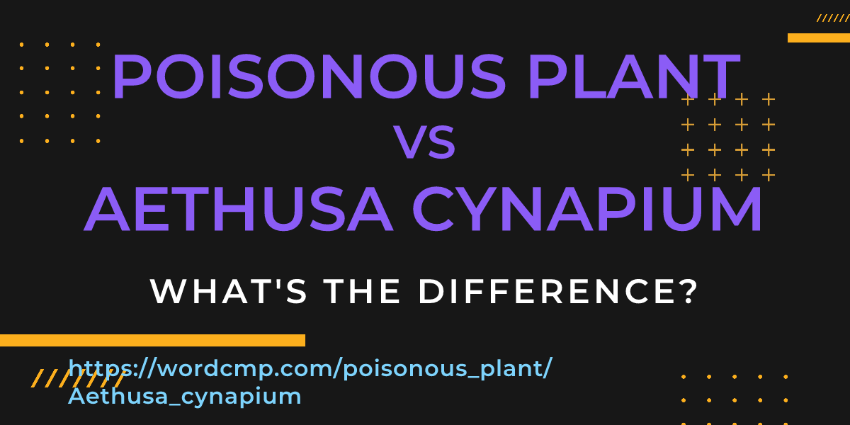 Difference between poisonous plant and Aethusa cynapium