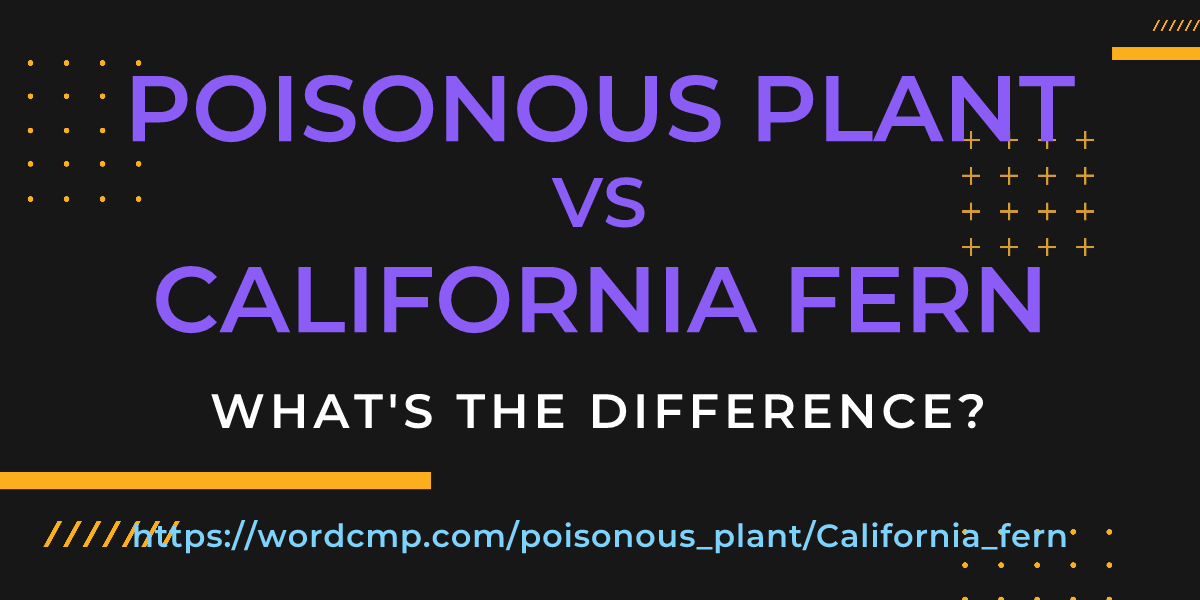 Difference between poisonous plant and California fern