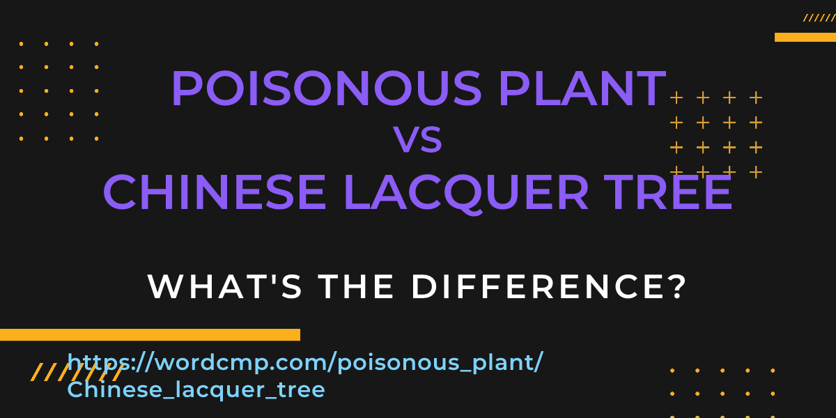 Difference between poisonous plant and Chinese lacquer tree